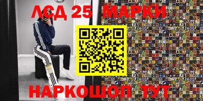индика Пенза