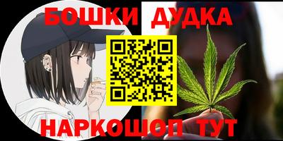 индика Пенза