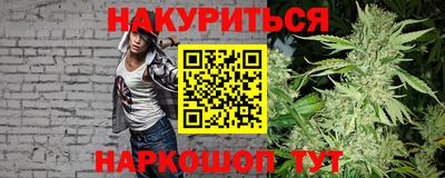 индика Пенза