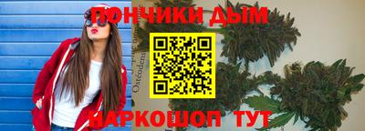 индика Пенза