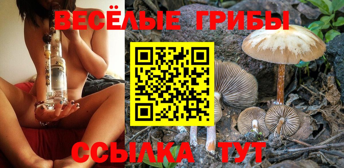 Сургут  Псилоцибиновые грибы Cubensis  Вход с VPN  Галлюциногенные грибы мухоморы 