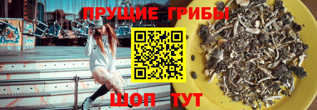 МЕФ Сургут